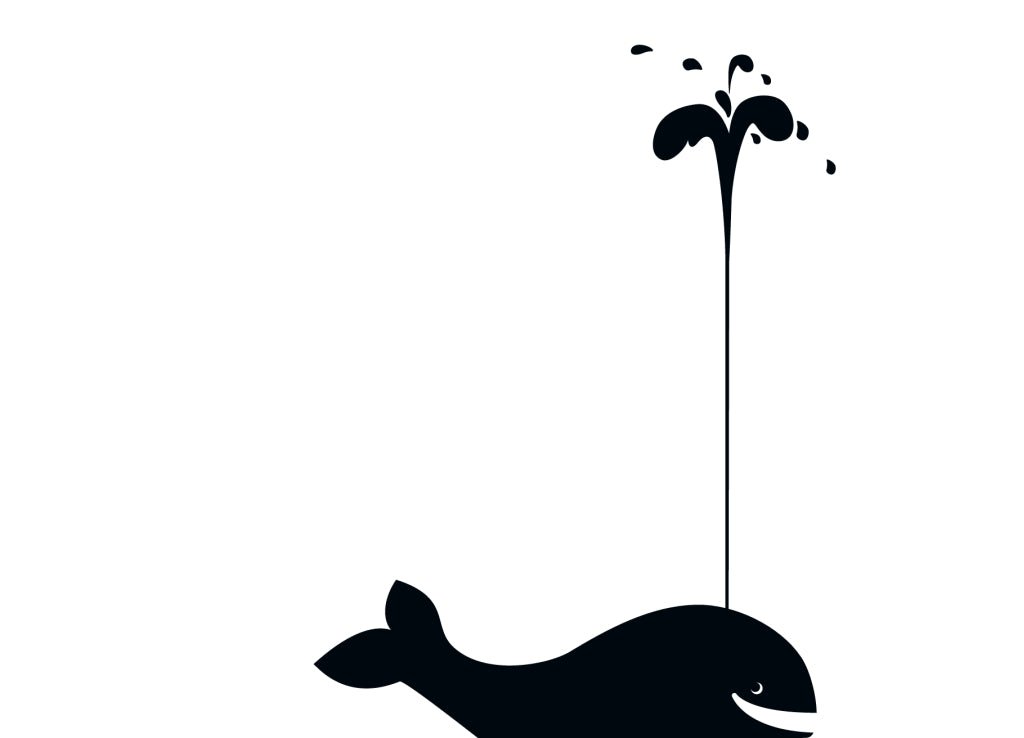 Postkarte witzig Cityproducts Wal