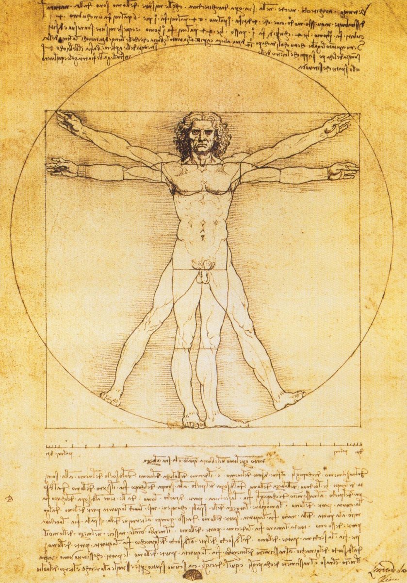 Renaissance Kunst Postkarte - Vitruvianischer Mensch von Leonardo Da Vinci, Anatomie und Proportionen Zeichnung, Vintage Design für Sammler, Bildung in Kunstgeschichte und Architektur, Goldenes Verhältnis, Kreativitäts - und Inspirationsquelle