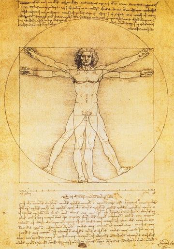 Renaissance Kunst Postkarte - Vitruvianischer Mensch von Leonardo Da Vinci, Anatomie und Proportionen Zeichnung, Vintage Design für Sammler, Bildung in Kunstgeschichte und Architektur, Goldenes Verhältnis, Kreativitäts - und Inspirationsquelle