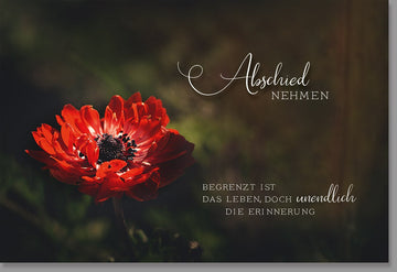 Trauerkarte Beileid & Anteilnahme - Elegante Doppelkarte mit Roter Blume, Naturmotiv in Dunkelrot & Schwarz, Stilvolle Kondolenzkarte für Abschied, Gedenken & Erinnerung - Friedvoller Trost für Angehörige und Freunde im Trauerfall
