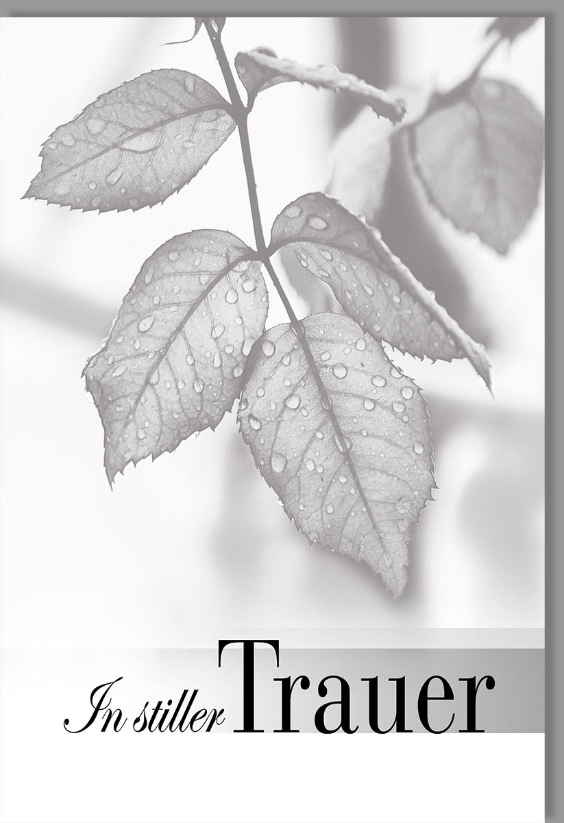 Trauerkarte Beileid Anteilnahme - Stilvolle Doppelkarte mit Rosenblatt - Design in Schwarz - Weiß, Schlichte Kondolenzkarte zum Abschied, Mitfühlende Textvorschläge für Angehörige und Freunde, Grau