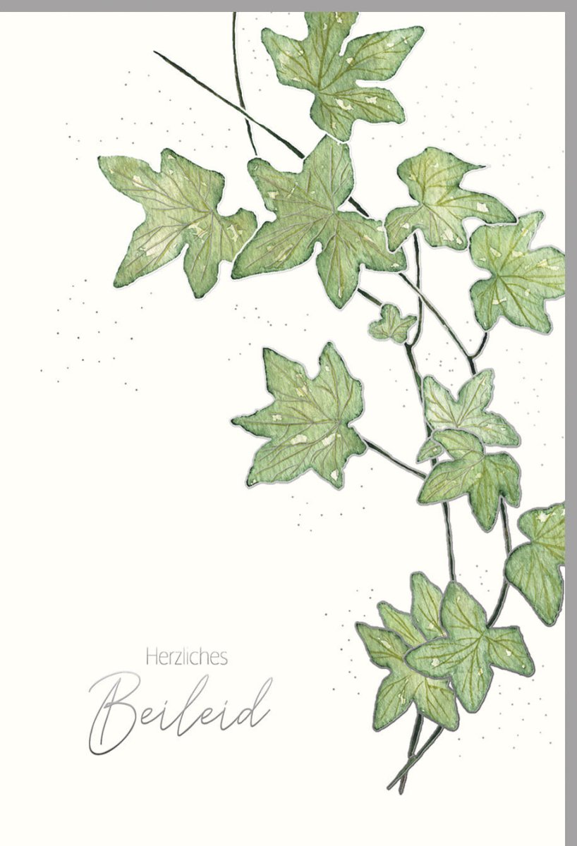 Trauerkarte Beileid Kondolenz - Hochwertige Doppelkarte mit Naturkarton, Silberfolie & Blindprägung, Elegante Blätterzweige in Grün, Stilvolle Pietät für Erwachsene, Schlichte Eleganz zum Ausdruck von Mitgefühl für Angehörige und Freunde
