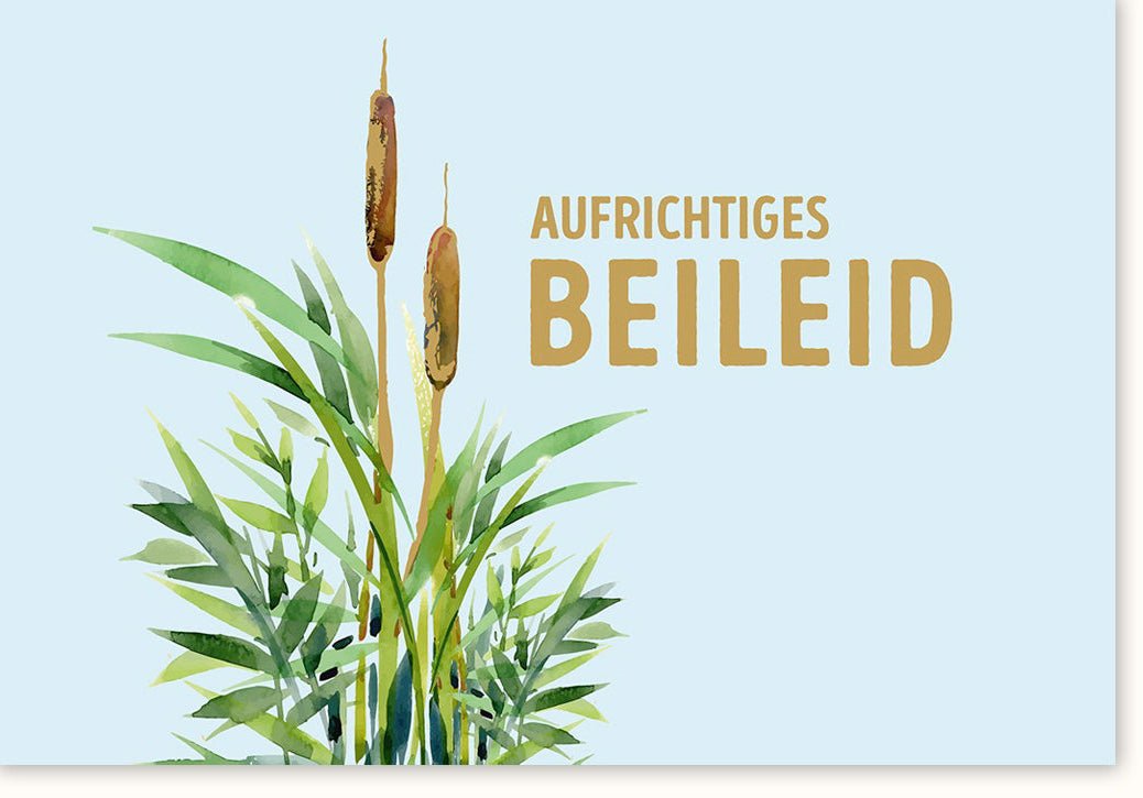 Trauerkarte Beileid mit Pflanzen Illustration - Stilvolle Anteilnahme Doppelkarte, Schlichtes Design für Trauerfall, Beerdigung & Trost