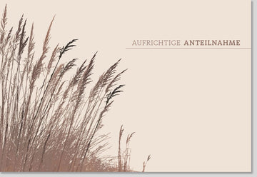 Trauerkarte Beileid mit Schilf & Gras Motiv - Stilvolle Doppelkarte für Aufrichtige Anteilnahme, Kondolenz und Mitgefühl - Pietätvolles Naturdesign in Beige für Abschied & Gedenken im Trauerfall