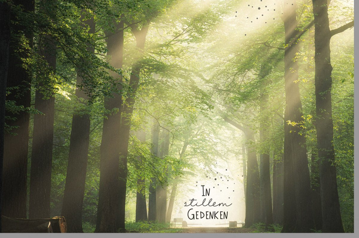 Trauerkarte Beileid "Waldweg des Friedens" - Stille Hoffnung & Lichtstrahlen, Naturmotiv für Abschied und Gedenken, 150x150mm
