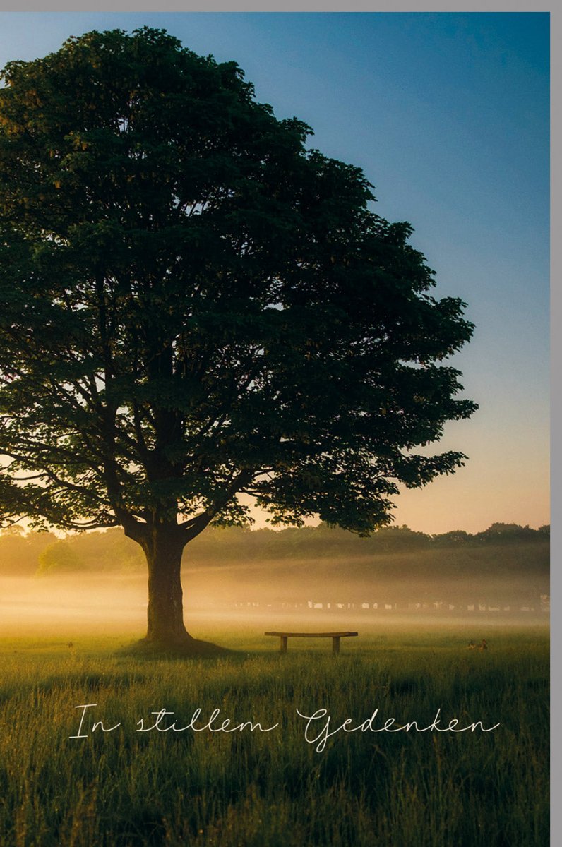 Trauerkarte Beileidskarte Doppelkarte - Stille Besinnung mit Naturmotiv, Baum & Bank - Kondolenzkarte für Trauerfall, Beerdigung & Abschied, Sonnenaufgang Design für Frieden & Hoffnung, inkl. Textvorschläge für Angehörige & Freunde, Grün/Braun