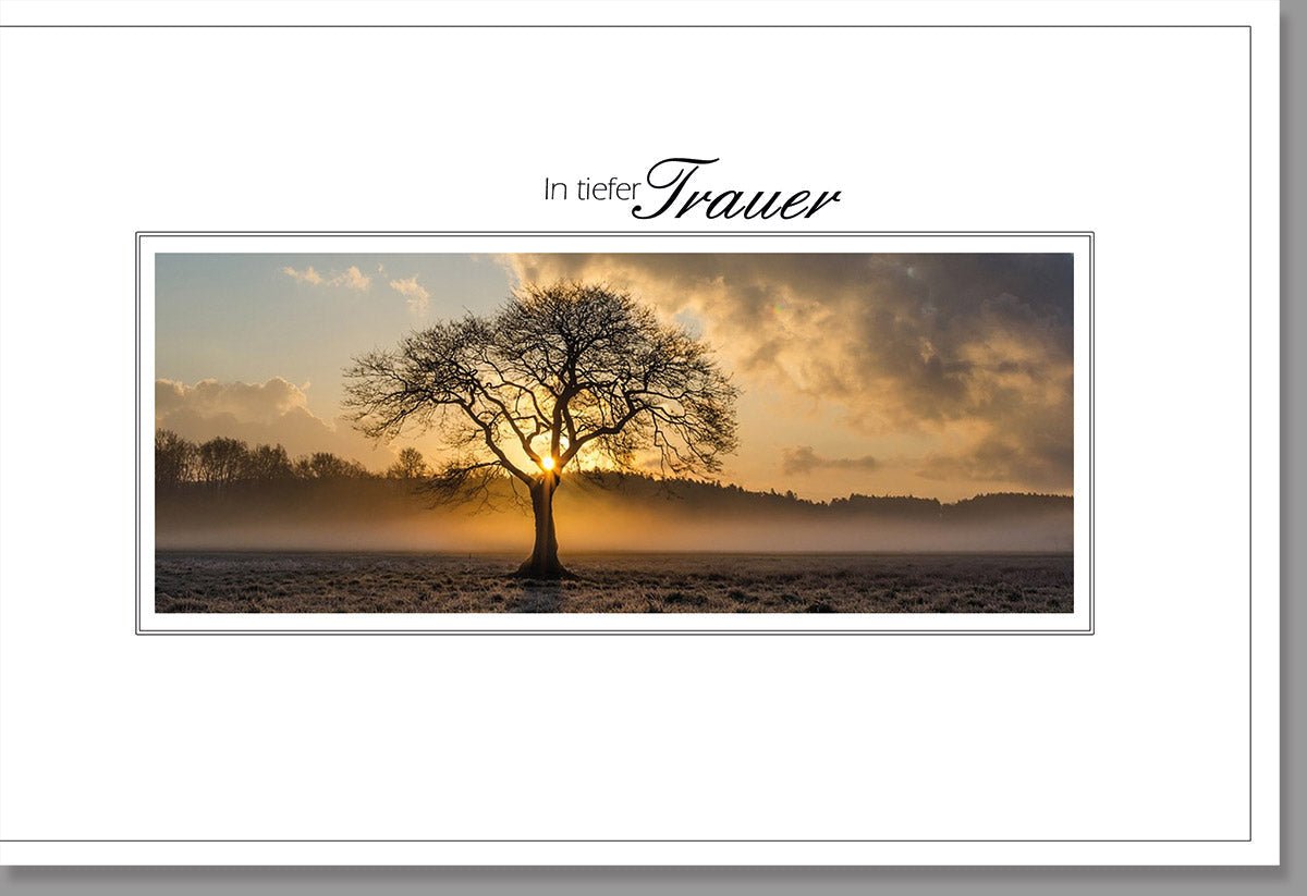 Trauerkarte Beileidskarte Kondolenzkarte - Stilvolle Doppelkarte mit Baum - Motiv, Natur & Wiese bei Sonnenuntergang, Elegante Gedenkkarte in Orange - Braun für Hinterbliebene und Freunde, Pietätvolle Anteilnahme