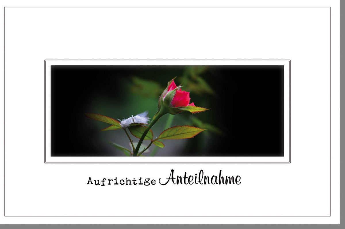 Trauerkarte / Beileidskarte mit eleganter roter Rose & Feder - Stilvolle Kondolenzkarte in Schwarz - Weiß - Rot für Hinterbliebene, Angehörige und Freunde zur Abschiednahme und Gedenken im Trauerfall