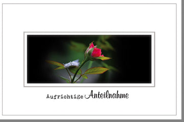 Trauerkarte / Beileidskarte mit eleganter roter Rose & Feder - Stilvolle Kondolenzkarte in Schwarz - Weiß - Rot für Hinterbliebene, Angehörige und Freunde zur Abschiednahme und Gedenken im Trauerfall