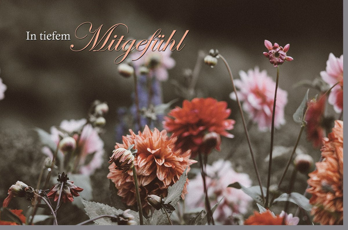 Trauerkarte für Beileid & Kondolenz - Stilvolle Anteilnahme im Trauerfall, Hochwertige Doppelkarte mit Blumen Nahaufnahme, Elegantes und Schlichtes Design in Rosa & Grau für Angehörige und Freunde