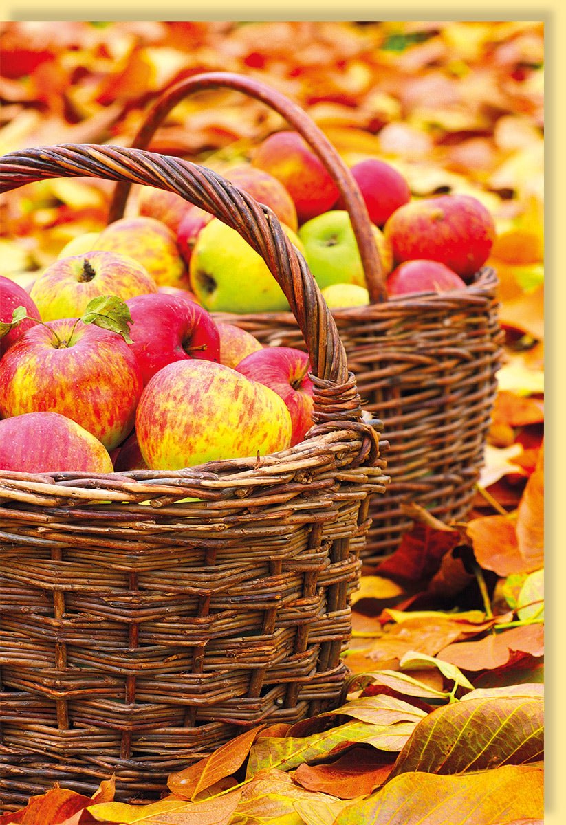Trauerkarte Kondolenzkarte Beileidskarte Motiv Herbst Äpfel in Körben auf buntem Laub mit Umschlag