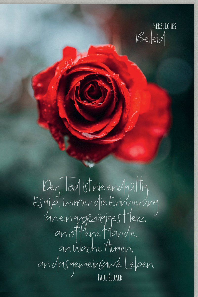 Trauerkarte zur Anteilnahme - Beileid & Kondolenz mit Trauerspruch, Rote Rose Design, Gedenken & Mitgefühl, Abschied Tod