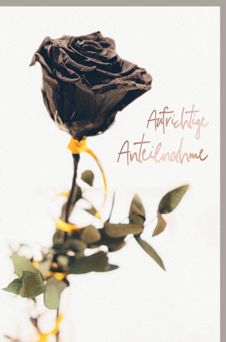 Trauerkarte zur Anteilnahme - Elegante Beileid Doppelkarte mit Rose, stilvolle Kondolenz & Trost im Trauerfall
