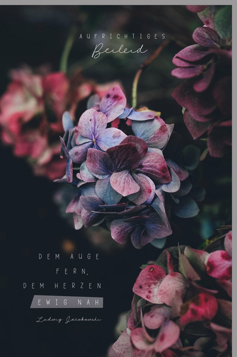 Trauerkarte zur Anteilnahme - Elegante Doppelkarte mit Blumen in Lila & Rosa, stilvoller Kondolenzspruch "Dem Auge fern, dem Herzen nah" für Erwachsene, Angehörige und Freunde