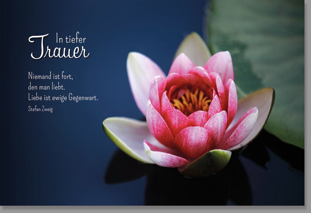 Trauerkarte zur Anteilnahme: Seerose der Erinnerung - Stille, Trost & Liebe beim Abschied, Elegante Natur - Motiv Doppelkarte mit Hoffnung und Frieden