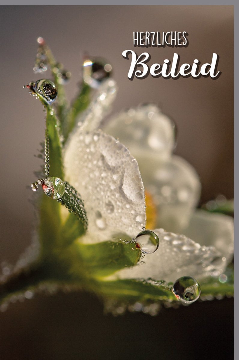 Trauerkarte zur Anteilnahme: Stilvolle Beileid Doppelkarte mit Wassertropfen & Blütenmotiv - Schlichte Kondolenzkarte für Trost & Gedenken