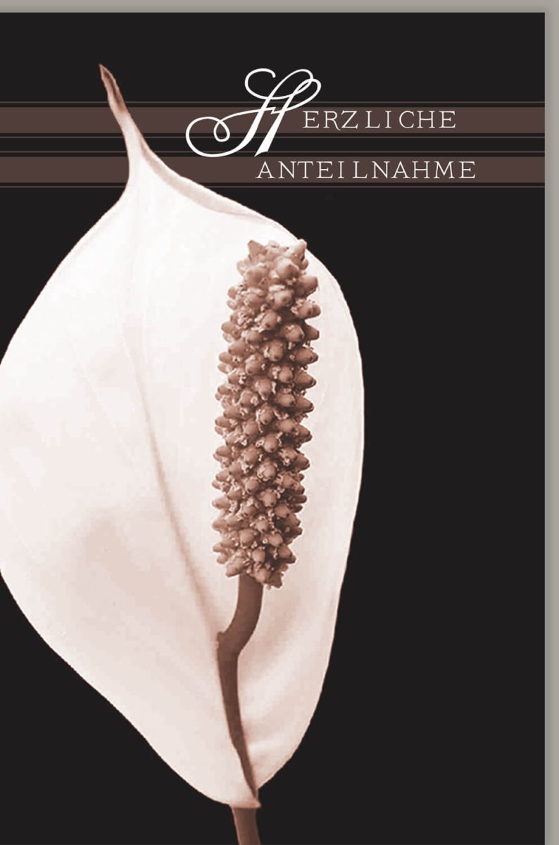 Trauerkarte zur Anteilnahme - Stilvolle Beileid Kondolenzkarte mit Spathiphyllum - Motiv, Weiß, für Trauerfall & Beerdigung, Mitfühlender Trostspender