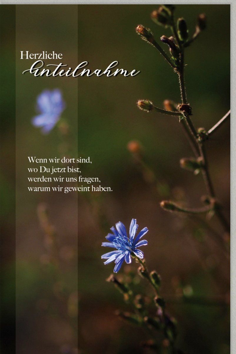 Trauerkarte zur Anteilnahme - Stilvolle Beileidskarte mit Blumenmotiv, Naturdesign für Trost & Hoffnung, Elegante Kondolenzkarte in Gedenken & Erinnerung