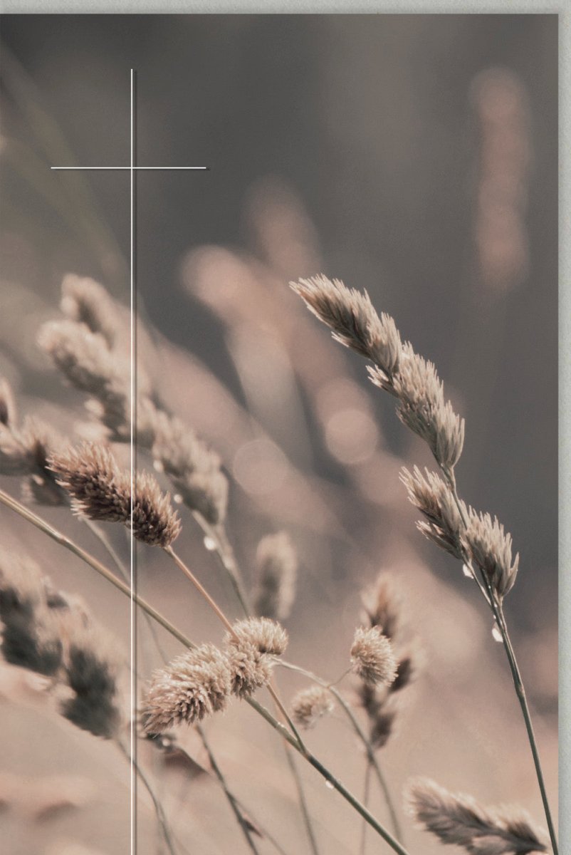 Trauerkarte zur Anteilnahme - Stilvolle Beileidskarte mit Kreuz, Naturmotiv Gräser, für Trost & Hoffnung im Trauerfall, Pietätvoll und Einfühlsam