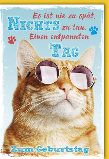 Verspätete Geburtstagskarte "Cool Cat" - Lustige Nachträgliche Gratulation mit Entspannter Katze in Sonnenbrille