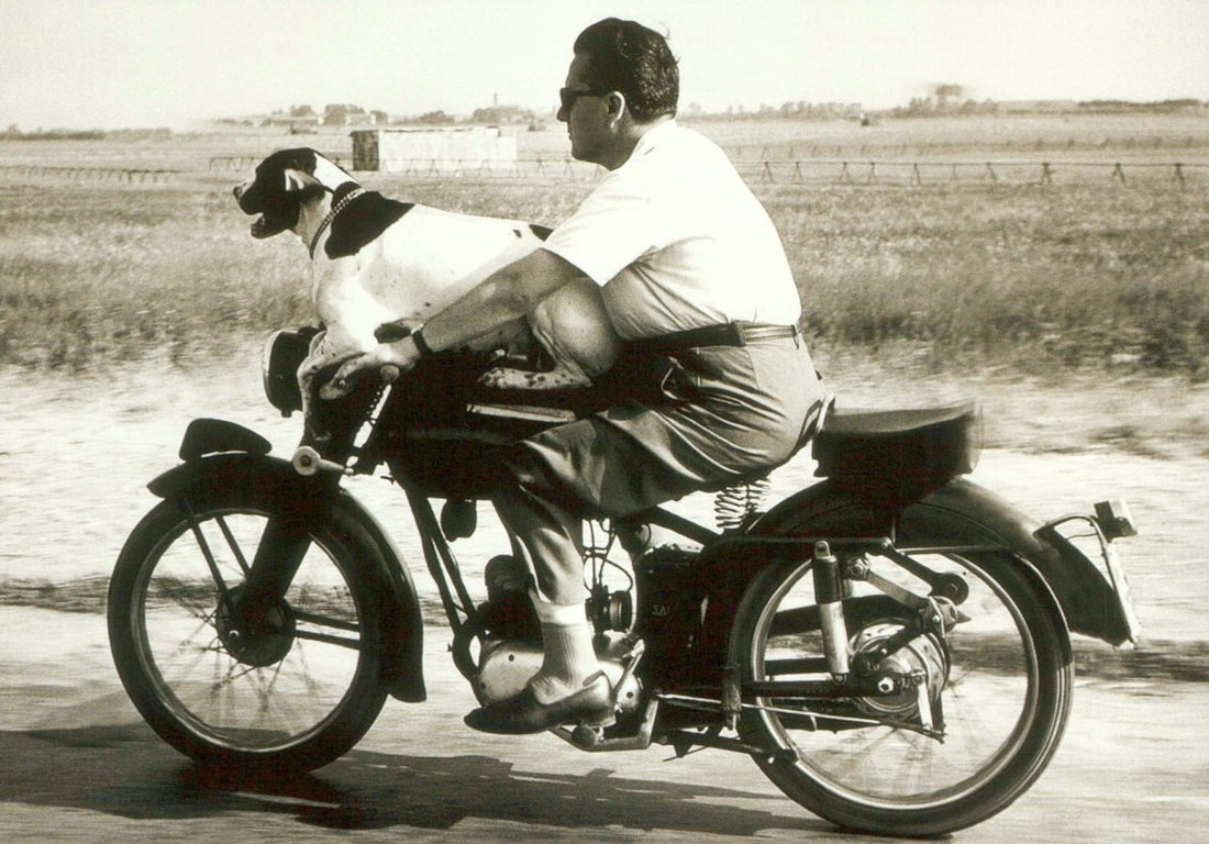 Vintage Motorrad & Hund Reiseabenteuer - Exklusive Schwarz - Weiß Postkarte für Oldtimer - Liebhaber, Sammler und Deko - Enthusiasten, Einzigartiges Geschenk und Wandkunst - Unikat