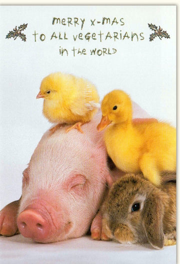 Weihnachtskarte Lustig Tiere für Vegetarier: Festliche Grußkarte mit Schwein, Entenküken & Hase - Merry X - Mas Humorvolle Kuscheltier - Freundschaft, Tierliebe & Witz - Doppelkarte mit Umschlag