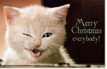 Weihnachtskarte mit Katzenmotiv - Merry Christmas Tierische Festtagsgrüße, Niedliche Lustige Grußkarte für Weihnachten, Winterliche Schnee - Szenerie, Frohe Festtage mit Tiermotiv, Seasonal Holiday Cat Card