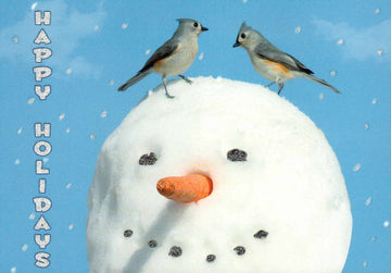 Weihnachtskarte mit Vögeln & Schneemann – "Happy Holidays" , Winterlicher Blauer Himmel, Festliche Frohe Feiertage, Lustige Niedliche Weihnachtspostkarte