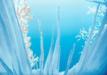 Weihnachtspostkarte blauer Himmel Winter