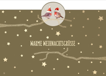 Weihnachtspostkarte Goldfolie 2 Rotkehlchen mit Weihnachtsmützchen