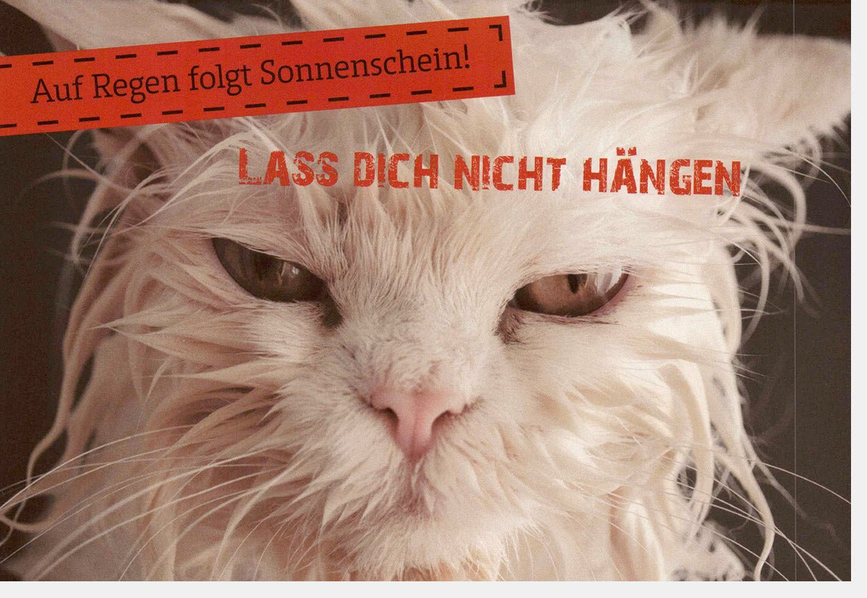 Aufmunterungskarte für schwere Zeiten: Trost & Hoffnung mit niedlicher Katze - Mut, Liebe und Optimismus