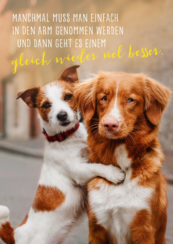 Freundschafts-Postkarte mit Hunden: Umarmung & Zuneigung, Trost-Spruch für Liebe und Geborgenheit, Kuschelnde Fellnasen - Tierische Aufmunterung