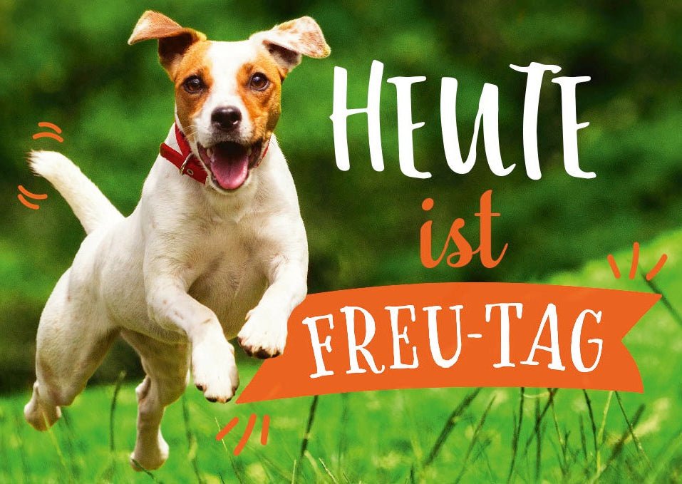 Postkarte Freitagshund im Gras: Fröhliche Jack Russell Terrier – Glücklicher Sprung & Lächeln fürs Wochenende