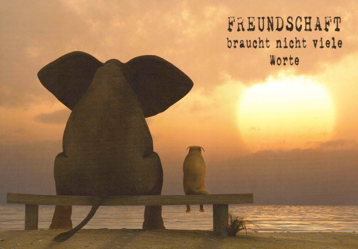 Freundschafts - Postkarte: Elefant & Pinguin am Strand - Sonnenuntergang, Meer & Stille, Symbol für Harmonie und Zusammenhalt