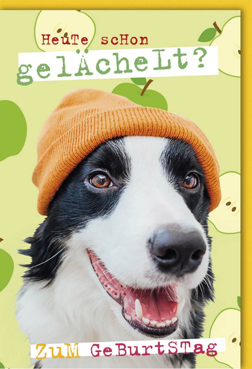 Geburtstags - Doppelkarte mit lustigem Hund in Mütze – Witzige Cartoon - Tier - Grußkarte für Humorvolle Feier und Glückwünsche