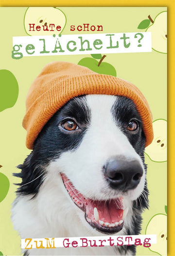 Geburtstags - Doppelkarte mit lustigem Hund in Mütze – Witzige Cartoon - Tier - Grußkarte für Humorvolle Feier und Glückwünsche