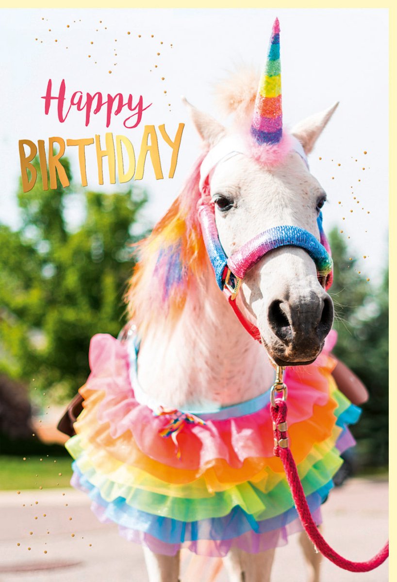 Geburtstags - Doppelkarte mit Lustigem Pferd als Einhorn, Bunte Regenbogen - Goldfolie, Humorvolle Glückwünsche & Spaßmotiv