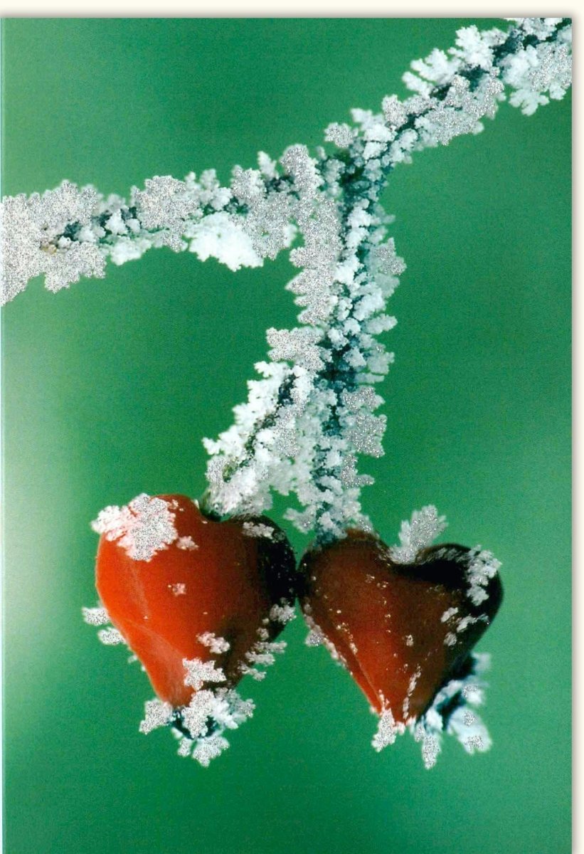 Geburtstags - Doppelkarte mit Naturmotiv – Romantische Landschaft & Herz im Frost - Design, Blanko für Liebe & Glückwünsche