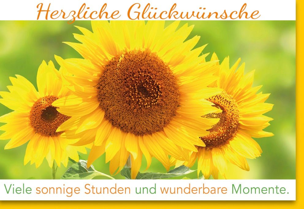 Geburtstags - Doppelkarte mit Sonnenblumen - Design – Helles Naturmotiv Grußkarte, Herzliche Glückwünsche & Gratulation