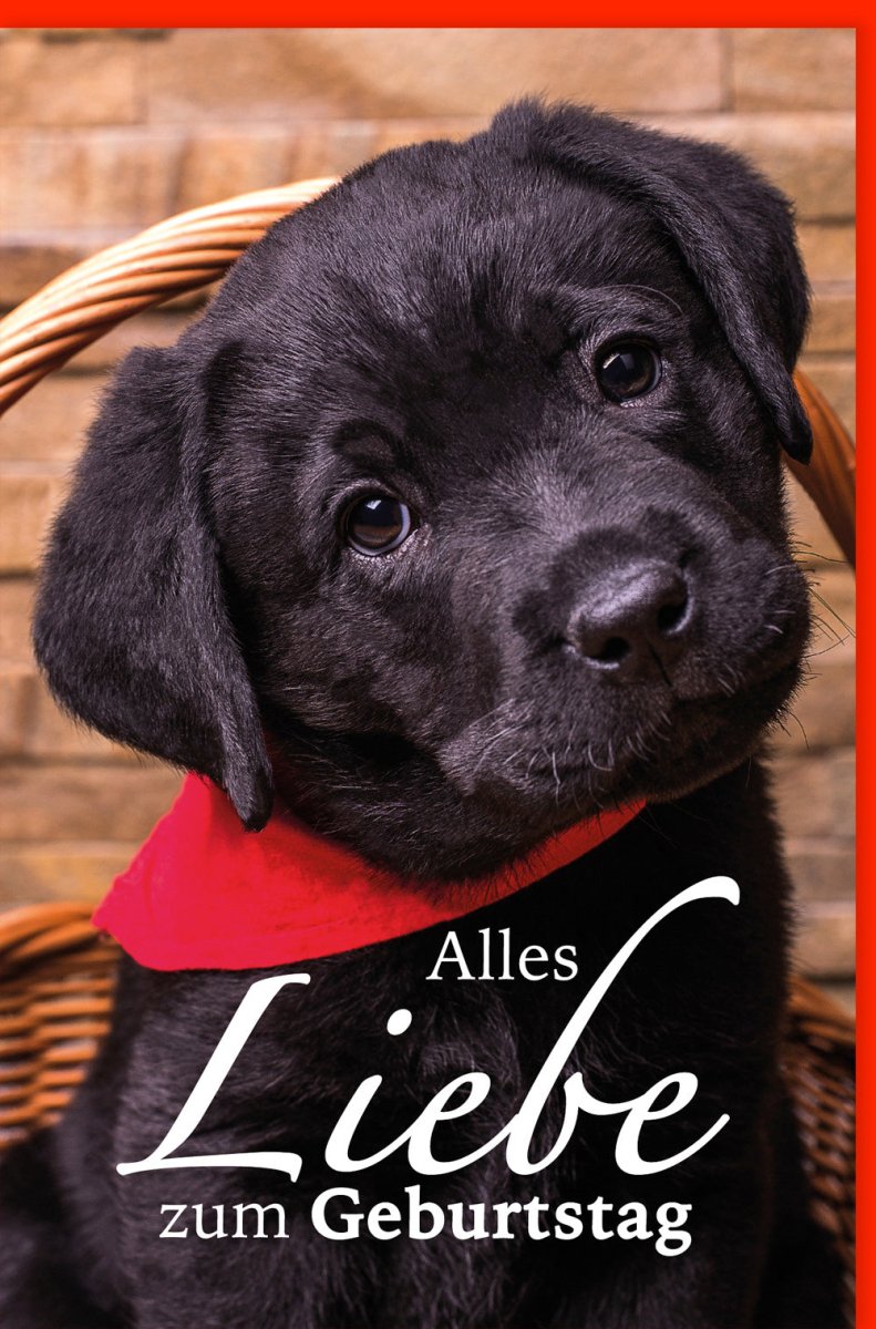 Geburtstags - Doppelkarte mit süßem Welpen - Motiv: Herzliche Glückwunsch - Karte für Tierliebhaber, Liebevolle Gratulation & Festliche Freude