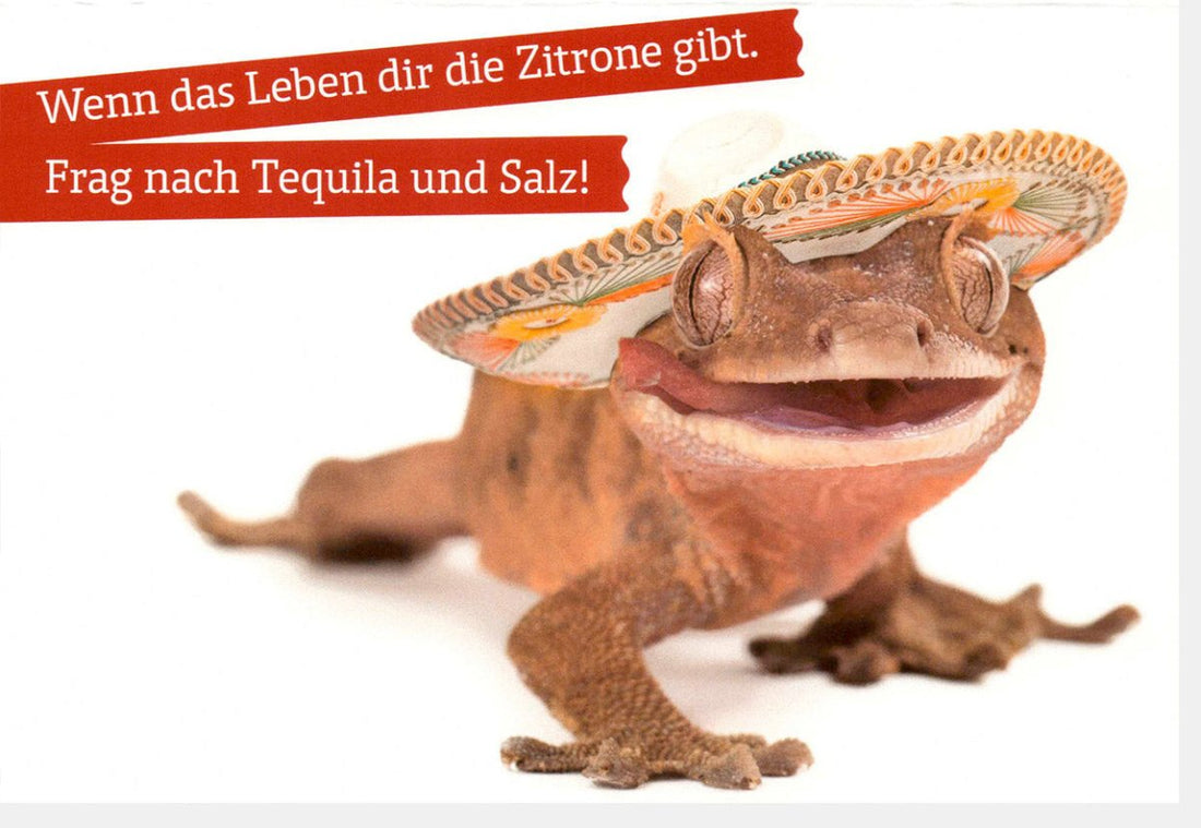 Geburtstags - Doppelkarte "Zitronen des Lebens" - Aufmunterungskarte mit Humor, Tequila & Salz Motiv, Positives Lebensmotto, Ermutigung & Freundschaft, Spaß & Freude Schenkende Karte mit Spruch