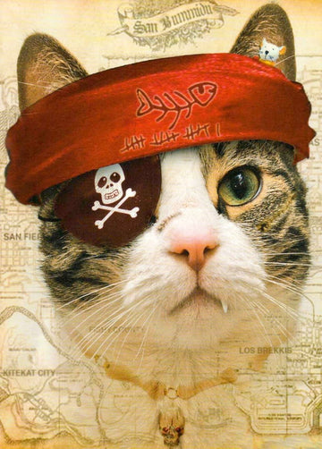 Geburtstags - Postkarte mit Katze als Pirat, Augenklappe & Schatzkarte – Lustige Tier - Verkleidung, Meer - Abenteuer, Spaß & Humor, Blanko - Seeräuber - Karte