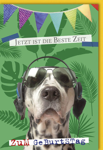 Geburtstagskarte Dalmatiner mit Brille - Lustige Hund Party Karte, Musik & Humor, Witzige Grüße & Glückwünsche, Tierische Illustration Feier Spaß