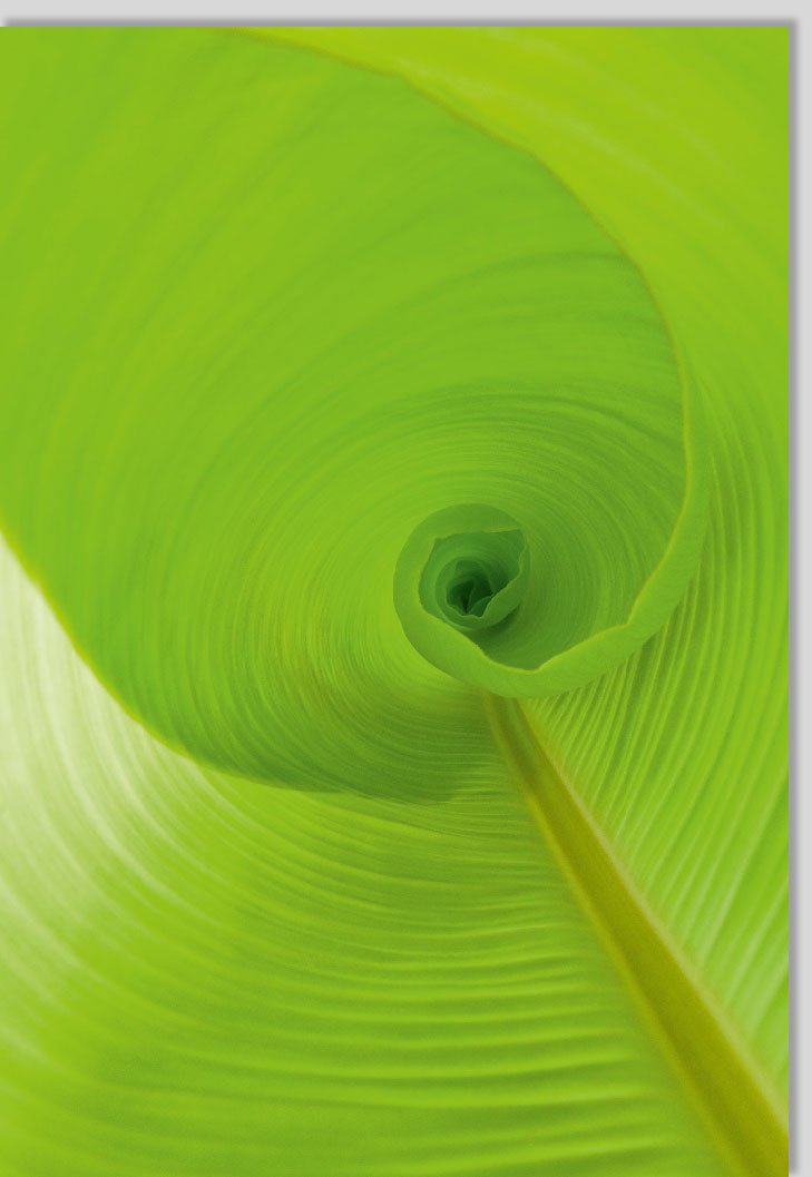 Geburtstagskarte Doppelkarte - Blanko Blumen & Natur Design, Ökologische Grußkarte für Einladungen und Glückwünsche, Frühlings - /Sommermotiv, Nachhaltige Papeterie mit Kunstfotografie