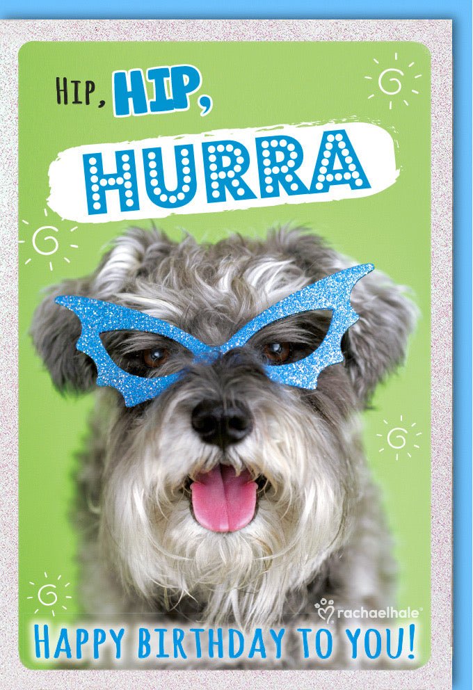 Geburtstagskarte Doppelkarte - Lustiger Hund mit Glitzerbrille, Hip Hurra Happy Birthday Grußkarte