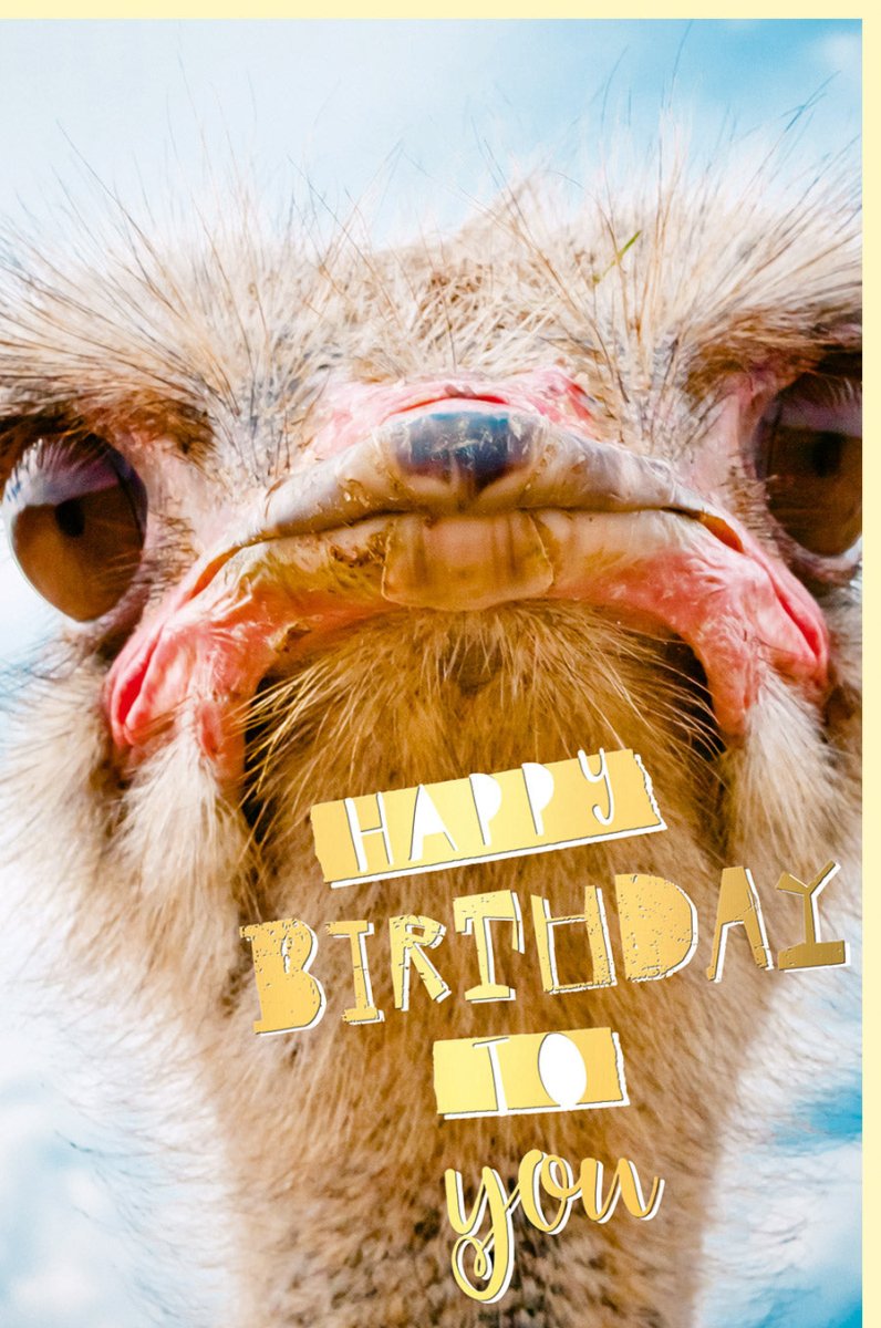 Geburtstagskarte Doppelkarte mit Goldfolie - Lustiger Strauß, Humorvolle Tiermotiv Grußkarte für Glückwünsche & Party Spaß