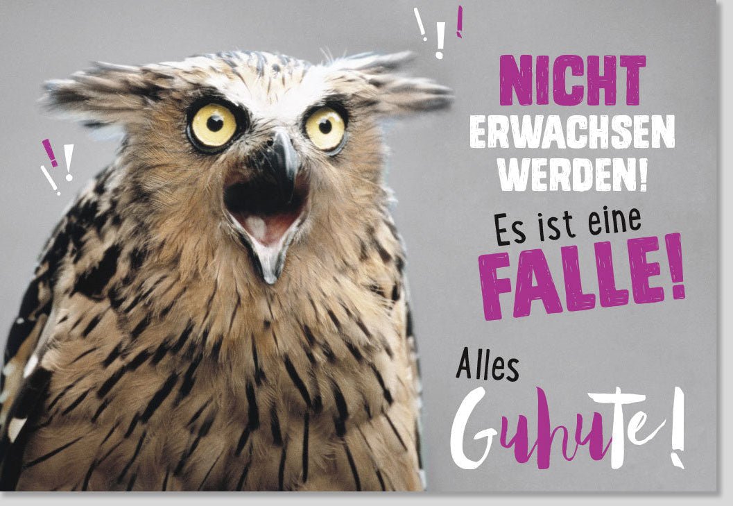 Geburtstagskarte für Erwachsene – Witzige & Originelle Doppelkarte mit Lustiger Eule und Spruch, Humorvolles Erwachsenwerden, Kreative Falle, Braun Dominant – Ideal für Freunde & Humorliebhaber