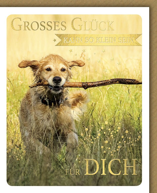 Geburtstagskarte Hund auf Wiese - Glückwunschkarte für Tierliebhaber, Naturmotiv mit Herzlichkeit und Freude, Ideal für Hundeliebhaber