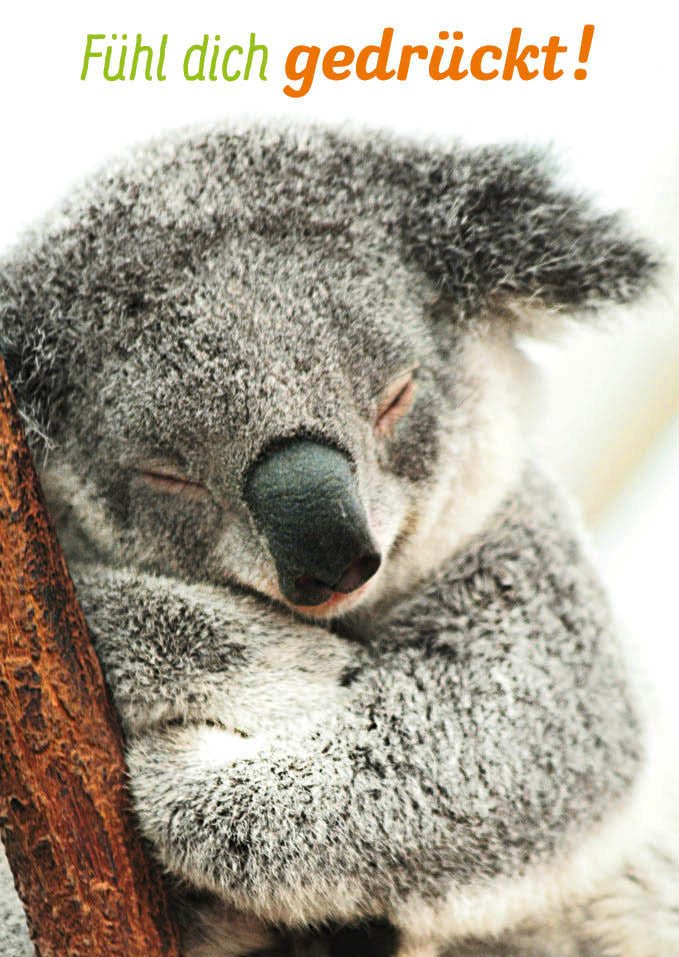 Geburtstagskarte Koala Umarmung - Liebevolle Postkarte mit Spruch "Fühl dich gedrückt" - Tierische Zärtlichkeit & Geborgenheit, Freundschaftsgruß, Niedlich & Entspannend