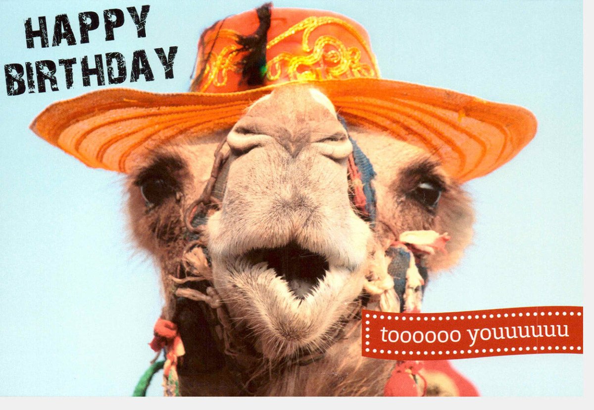 Geburtstagskarte Lustig mit Kameel - Witzige Happy Birthday Doppelkarte, Tiermotiv Grußkarte für Spaß & Humor, Originelle Geburtstagsglückwünsche, Überraschungspartytier mit Funkel - Effekt, Feierlaune Garantiert